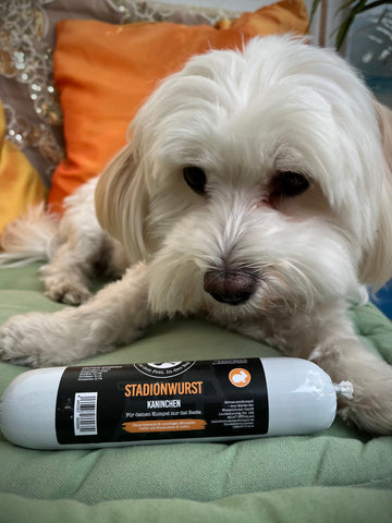 Stadionwurst Kaninchen Stadionwurst Kaninchen