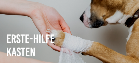 Erste-Hilfe-Kasten