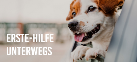Erste-Hilfe-Unterwegs