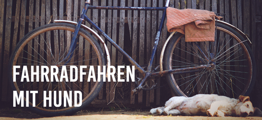 Fahrradfahren mit Hund