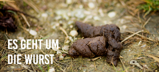 Es geht um die Wurst
