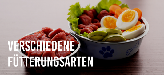 verschiedene Fütterungsarten