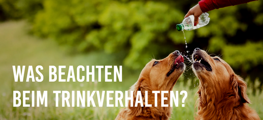 Trinkverhalten
