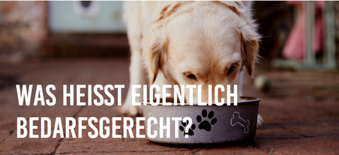 Was bedeutet bedarfsgerecht?