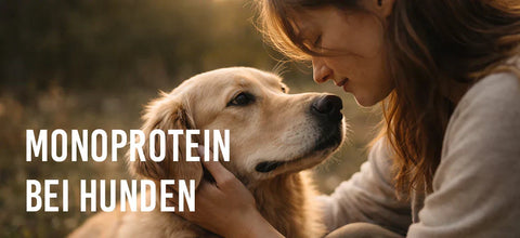 Monoprotein bei Hunden – warum weniger oft mehr ist