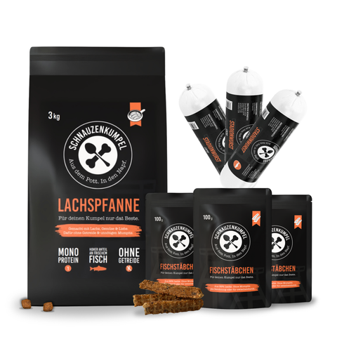 Monoprotein-Box Lachs Gross