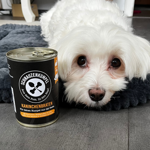 MONOPROTEIN-BOX KANINCHEN GROSS