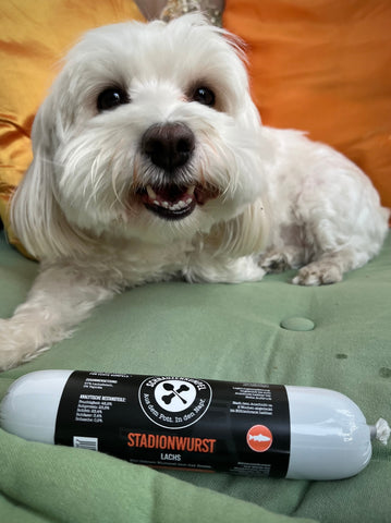 Stadionwurst Lachs