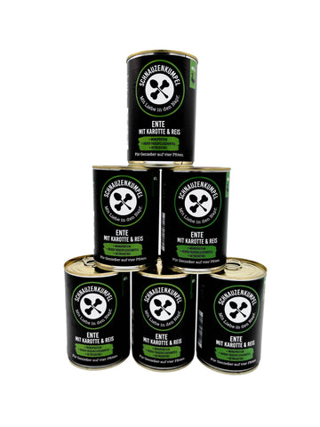 Ente mit Karotte und Reis