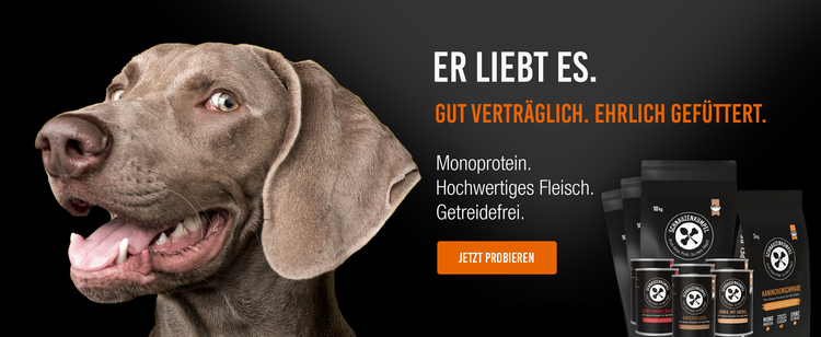 Alles drin. Außer Mumpitz