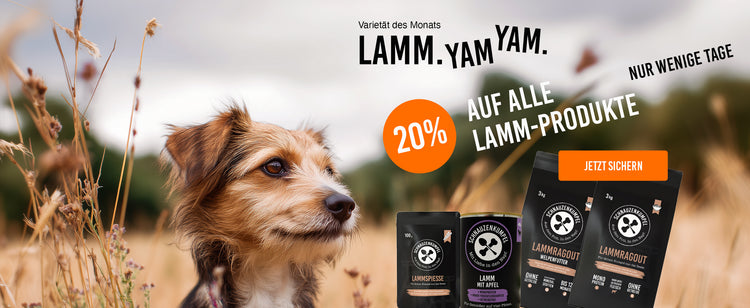 Alles drin. Außer Mumpitz