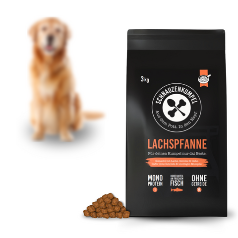 Lachspfanne