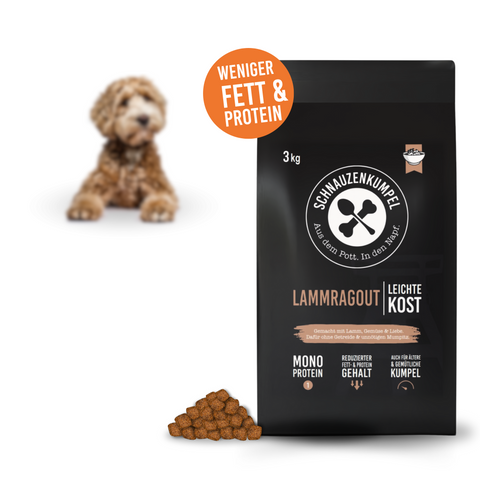 Lammragout Leichte Kost