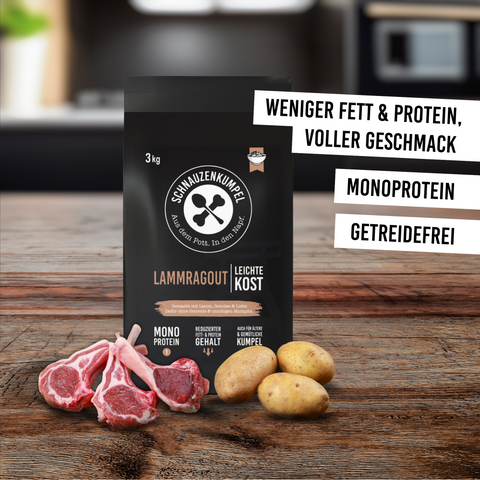 Lammragout Leichte Kost